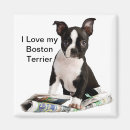 Search for boston magnets Cute