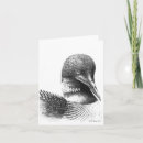 Search for loon cards Animals