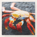 Search for crab coasters Animal