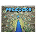 Search for peacock calendars Peafowl
