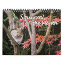Search for wildlife calendars cute