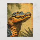 Search for vintage alligator postcards Retro
