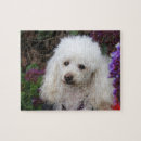 Search for poodle puzzles Dogs