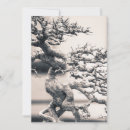 Search for bonsai tree cards Zen
