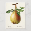 Search for pear tree cards stamps Vintage