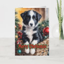 Search for border collie christmas cards Puppy