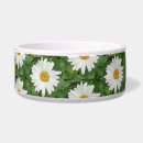 Search for daisy pet bowls Green