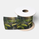 Search for frog ribbon Amphibian
