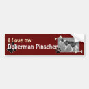 Search for doberman pinscher bumper stickers Puppy