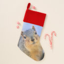 Search for squirrel christmas stockings Tree