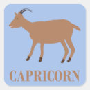 Search for capricorn stickers Birthday