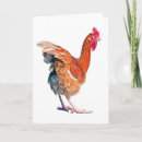 Search for chicken cards Funny
