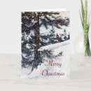 Search for john 3 16 christmas cards Scripture