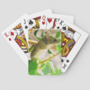 Search for mice playing cards Mouse
