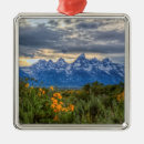 Search for jackson hole ornaments Wyoming