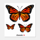 Search for butterflies bumper stickers colorful