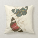 Search for insect pillows Antique