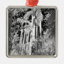 Search for naples florida ornaments Black and white
