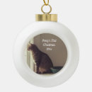 Search for dog first ornaments Kitty