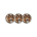 Search for photo golf ball markers Dog