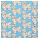 Search for havanese dog Cuba