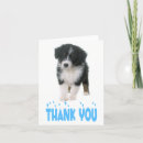 Search for australian shepherd thank you cards Puppy