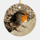 Search for robin ornaments Animals