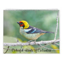 Search for bird calendars Tropical birds