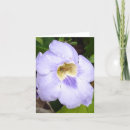 Search for promotion congratulations cards Purple