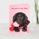Search for funny dog valentines day cards Heart