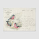 Search for bird tissue paper French