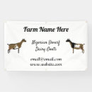 Search for nigerian dwarf goat Pet