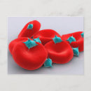 Search for microbiology gifts Cytoplasm
