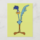 Search for road runner Looney tunes