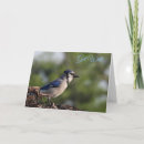 Search for wildlife get well cards Bird