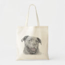 Search for pitbull bags Drawing