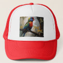 Search for perch hats Colorful