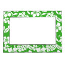 Search for green and pink picture frames Tropical
