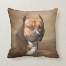 Search for dog face pillows Pit