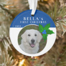 Search for holly ornaments Blue