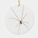 Search for horror ornaments Spider