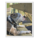 Search for pet portraits Modern