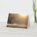 Search for equine sympathy cards Loss of horse