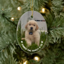 Search for new puppy gifts Create your own