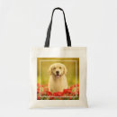 Search for golden retriever bags Puppy
