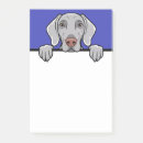 Search for grey post it notes Pets