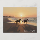 Search for outer banks postcards Travel