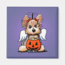 Search for yorkie angel Yorkshire