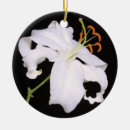 Search for white lily flower flowers lilies ornaments Stargazer