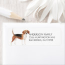 Search for beagle return address labels Dogs